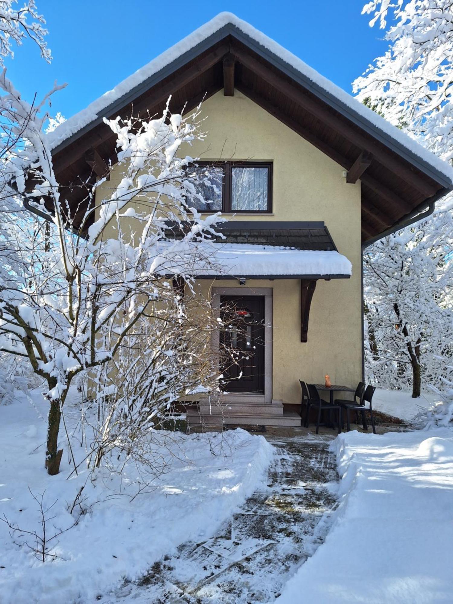 Holiday Home Lemut クラーニ エクステリア 写真