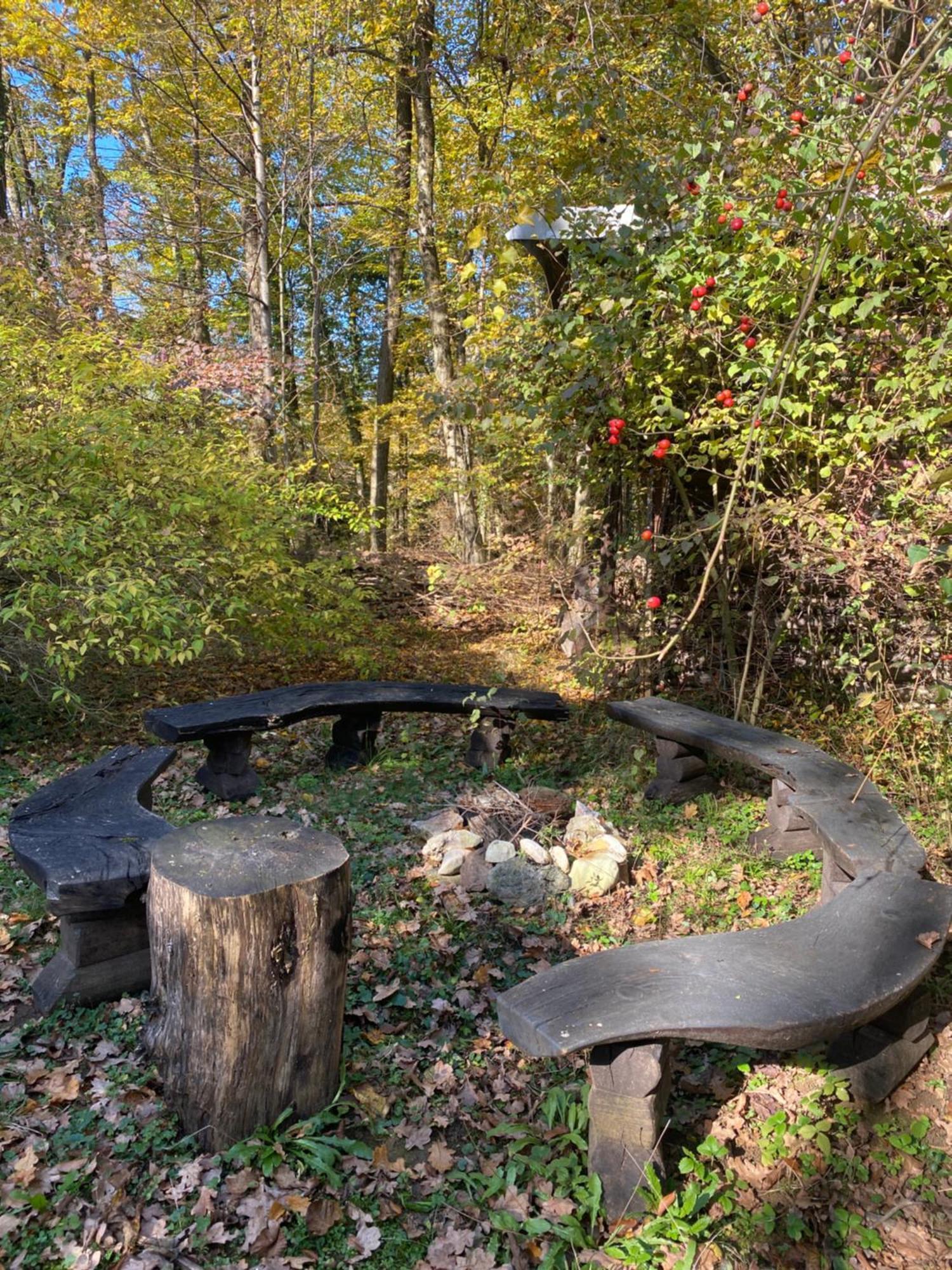 Holiday Home Lemut クラーニ エクステリア 写真