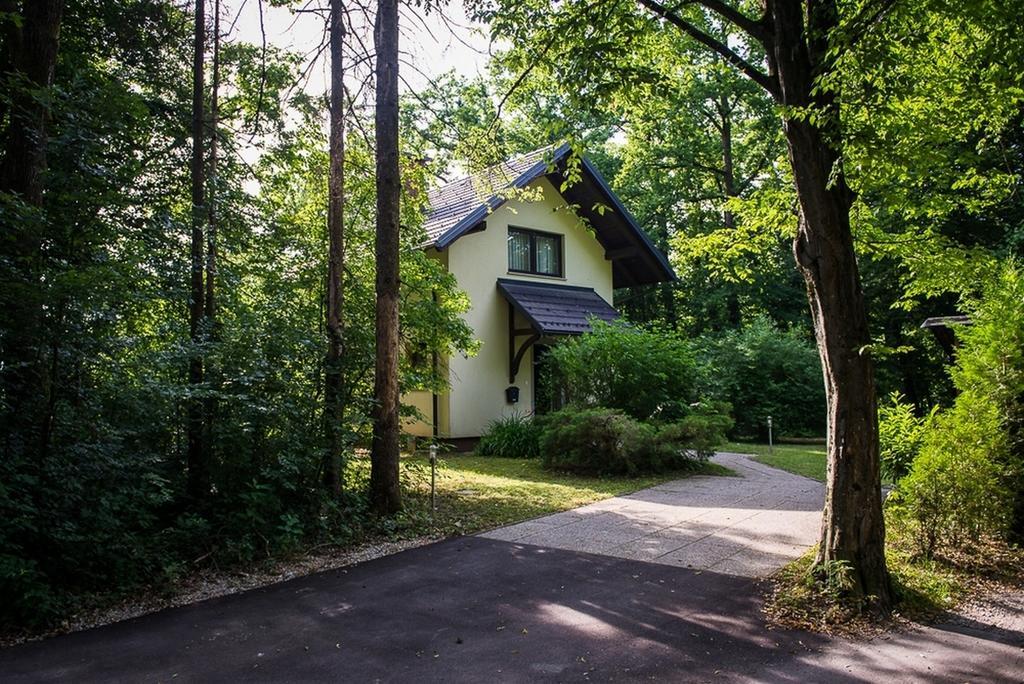 Holiday Home Lemut クラーニ 部屋 写真