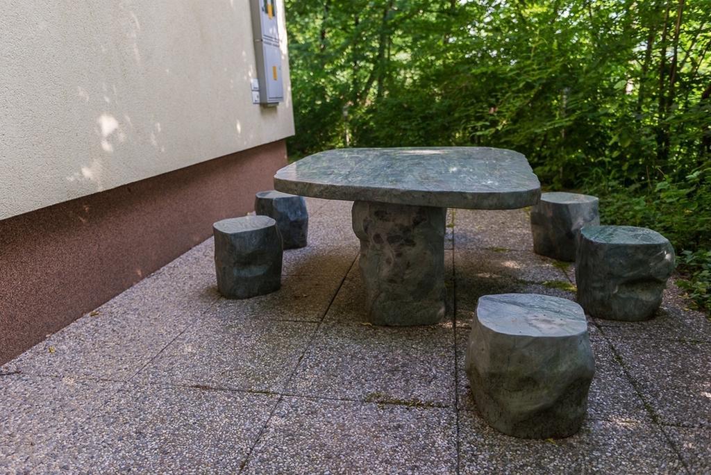 Holiday Home Lemut クラーニ 部屋 写真